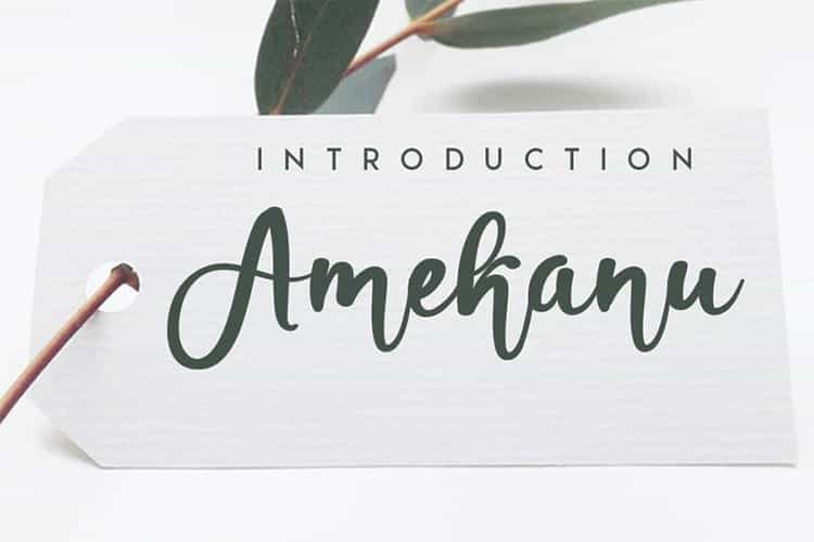 Amekanu Handwritten Script Font Image 1
