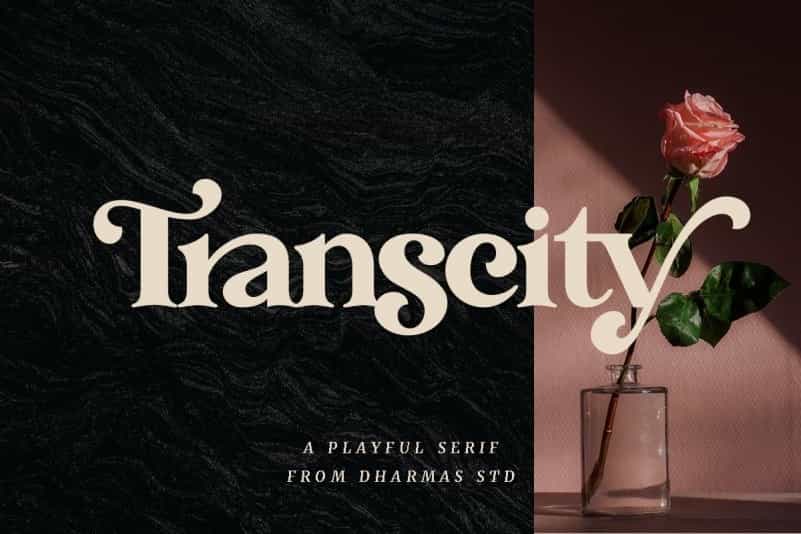 Transcity Serif Font Image 1