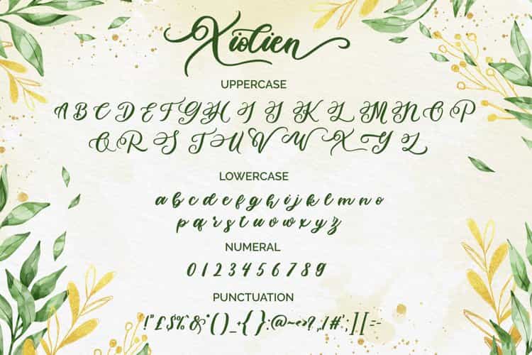 Xiolien Handwritten Font Image 3