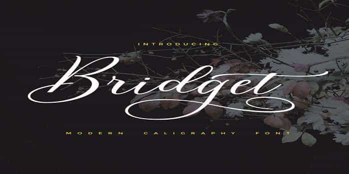 Bridget Script Font Image 1