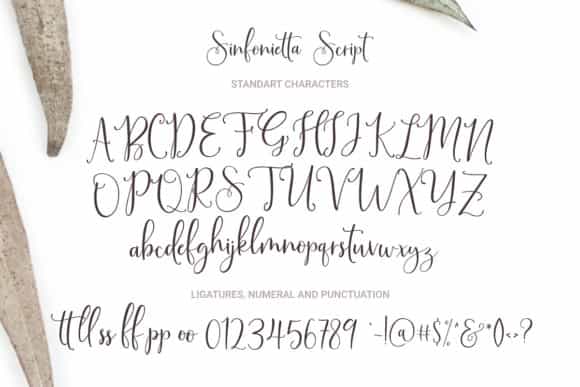 Sinfonietta Handwritten Script Font Image 3