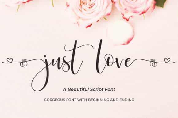 Just Love Calligraphy Script Font Image 1