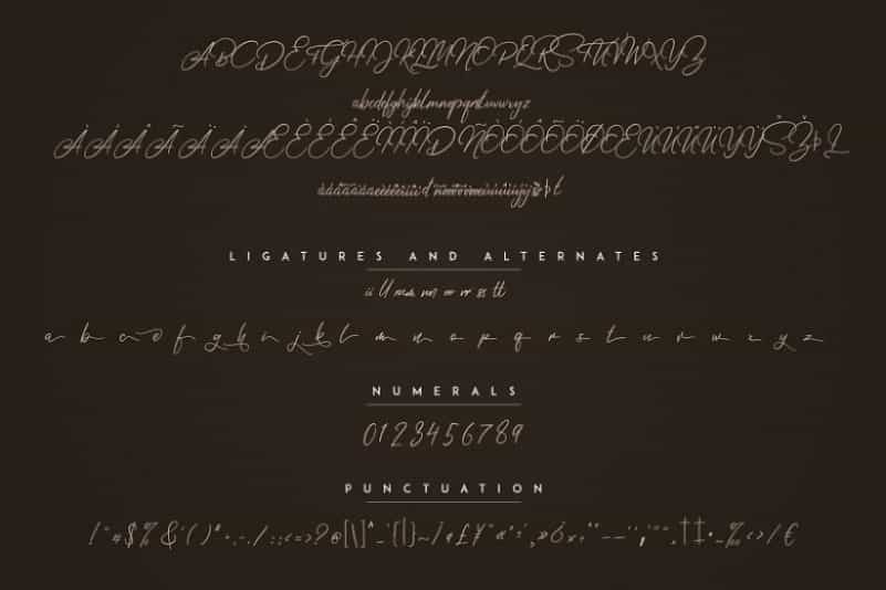Elysian Handwritten Script Font Image 3