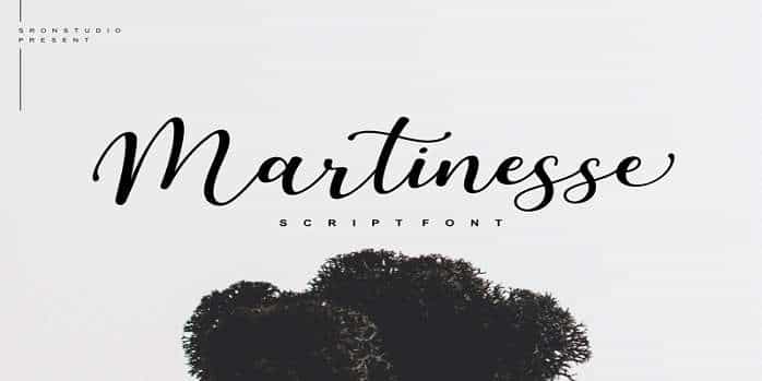 Martinesse Font Image 1