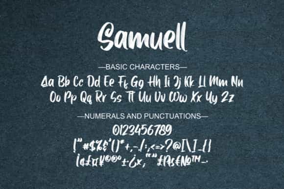 Samuell Brush Script Font Image 4