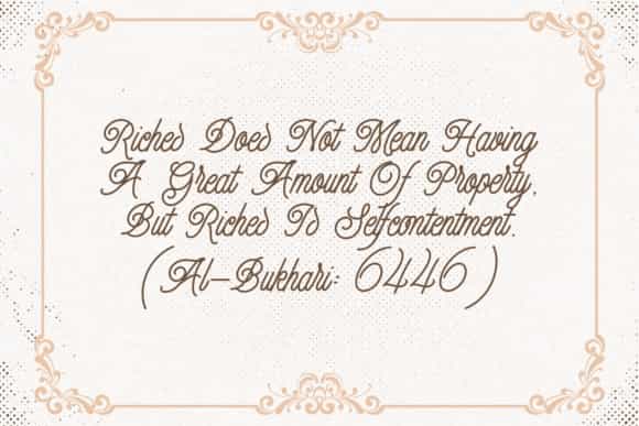 Finch Monoline Script Font Image 3