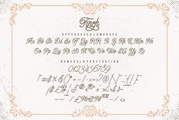Finch Monoline Script Font Image 4