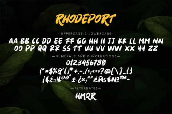 Rhodeport Brush Font Image 3