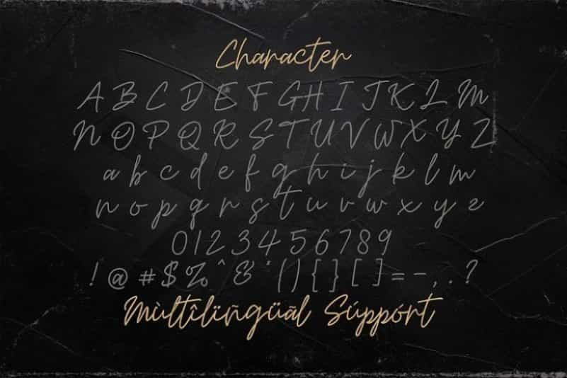 Mashiya Handwritten Monoline Font Image 3