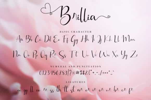 Brillia Modern Calligraphy Font Image 3