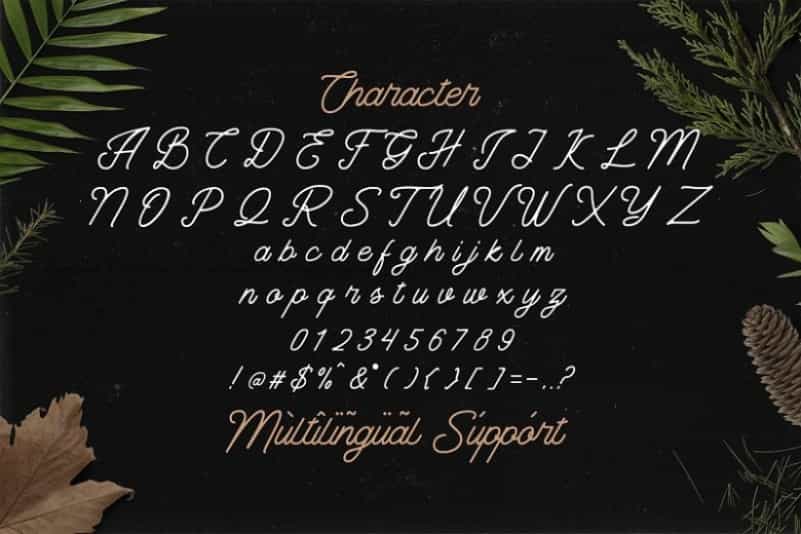 The Banten Monoline Script Font Image 3