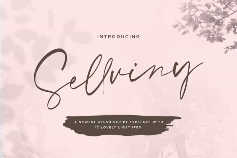 Sellviny Handwritten Brush Font Image 1