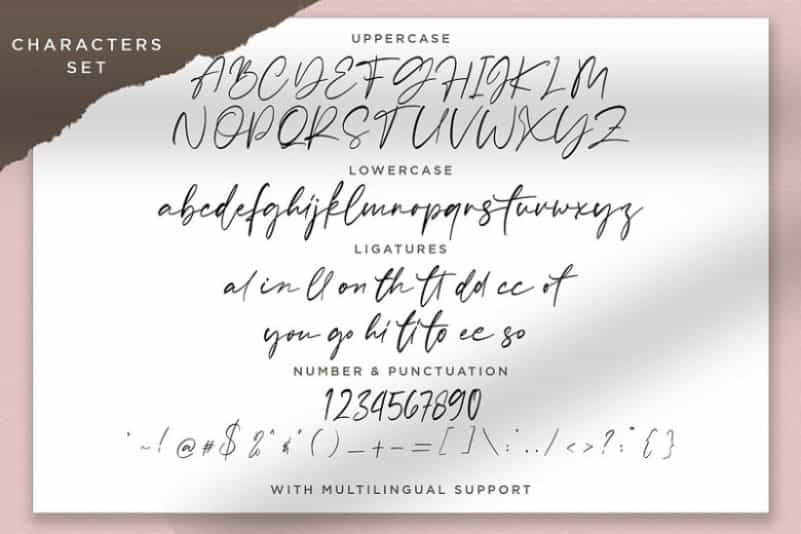 Sellviny Handwritten Brush Font Image 3