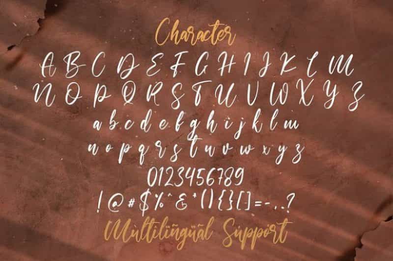 Walentiny Handwritten Script Font Image 3
