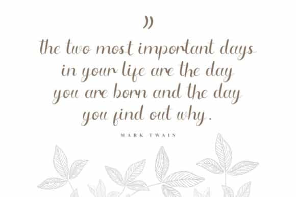 Maeryn Calligraphy Font Image 3
