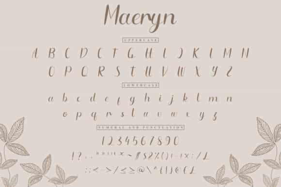 Maeryn Calligraphy Font Image 4