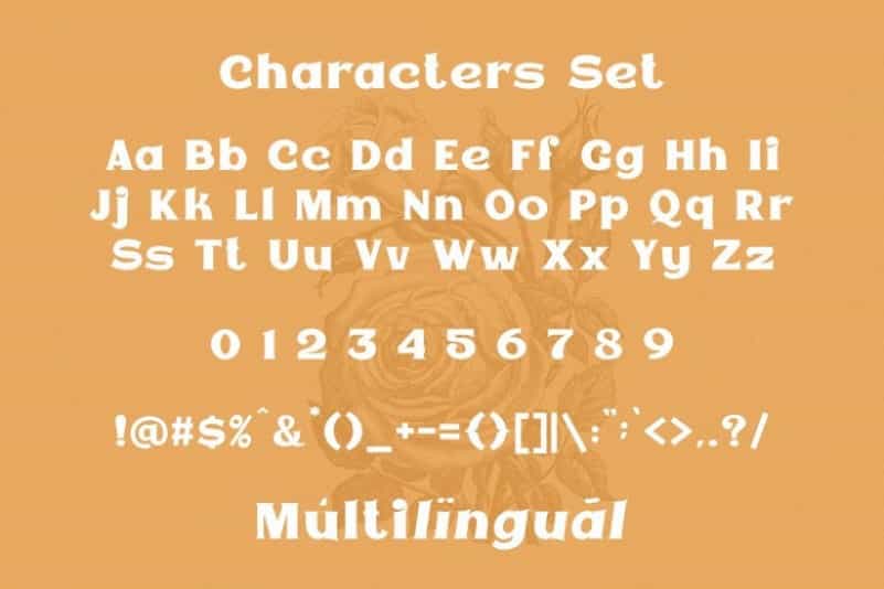 Epicgant Serif Font Image 3