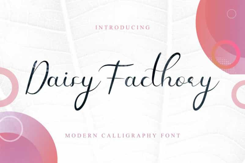 Daisy Facthory Calligraphy Font Image 1