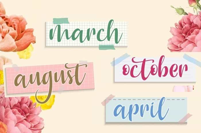 Charlotte Smoothy Script Font Image 3
