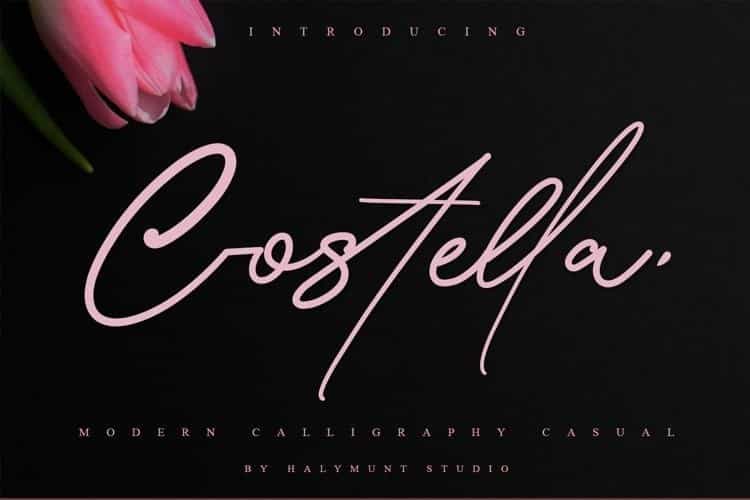 Costtella Handwritten Script Font Image 1