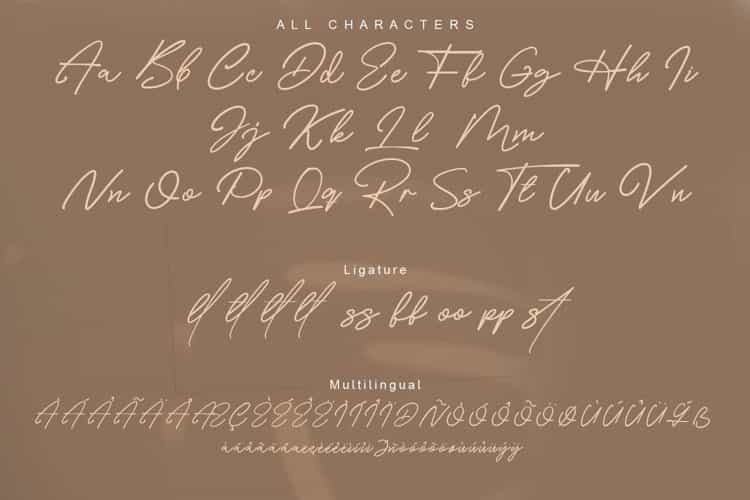 Costtella Handwritten Script Font Image 3