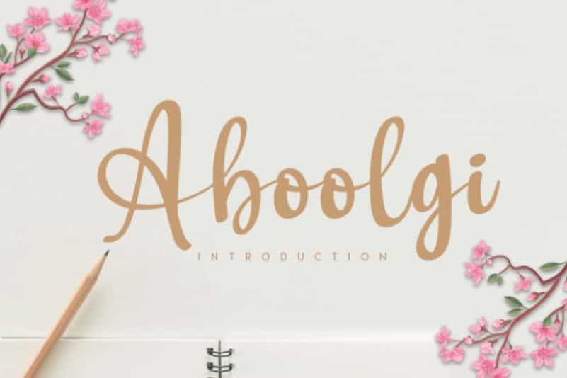 Aboolgi Handwritten Script Font Image 1