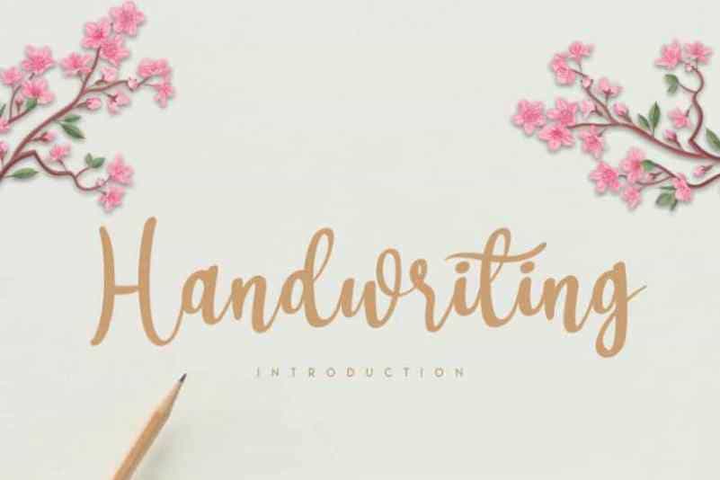 Aboolgi Handwritten Script Font Image 2