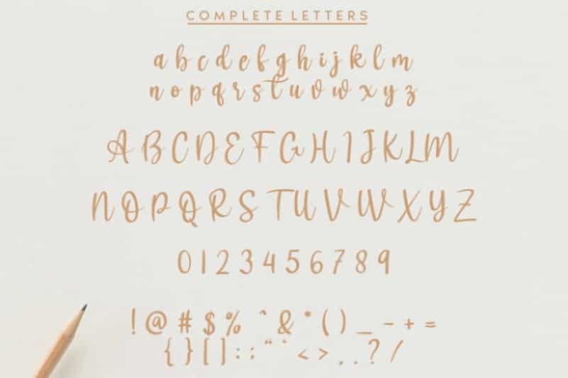 Aboolgi Handwritten Script Font Image 3