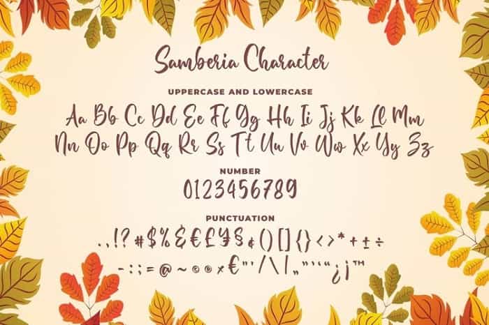 Samberia Calligraphy Script Font Image 3