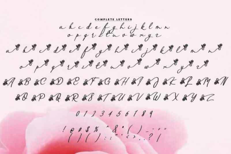 Jakallia Handwritten Font Image 4