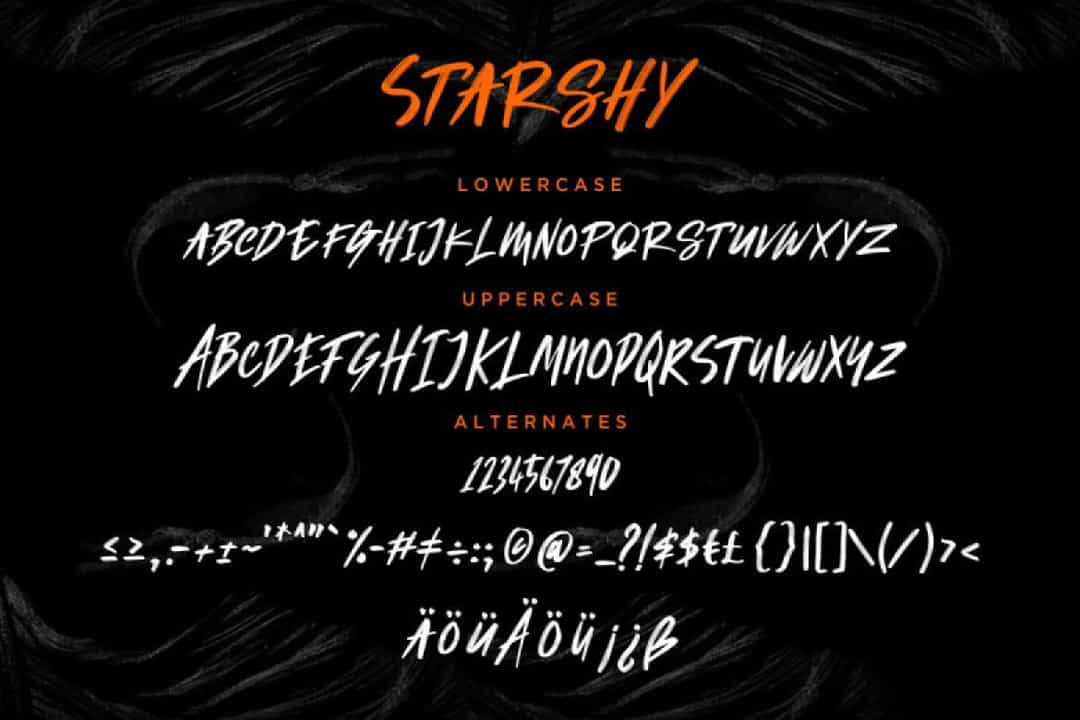 Starshy Street Brush Font Image 3