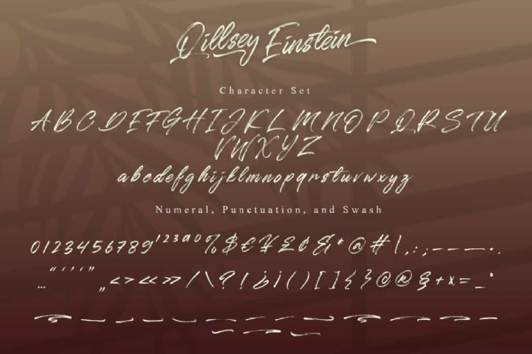 Qillsey Einstein Brush Font Image 3
