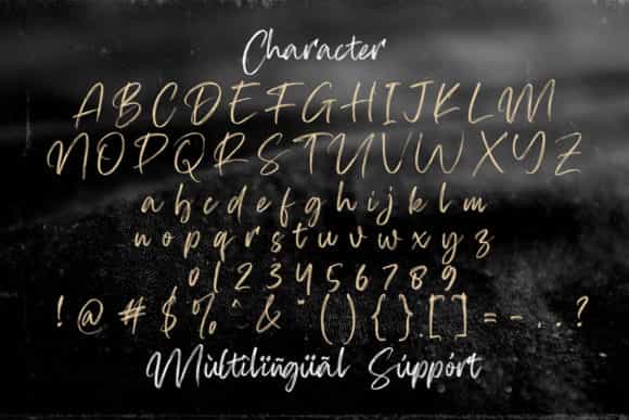 Firsta Brush Font Image 3