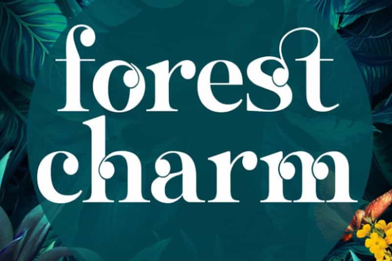 Sangi Serif Font Image 2