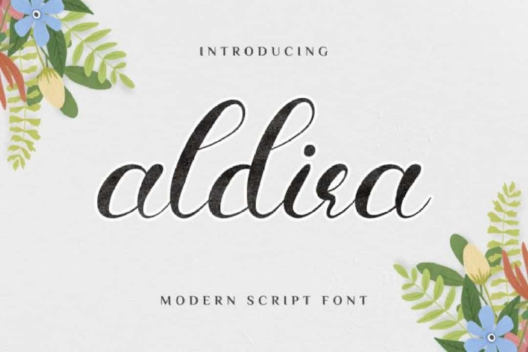 Aldira Calligraphy Script Font Image 1