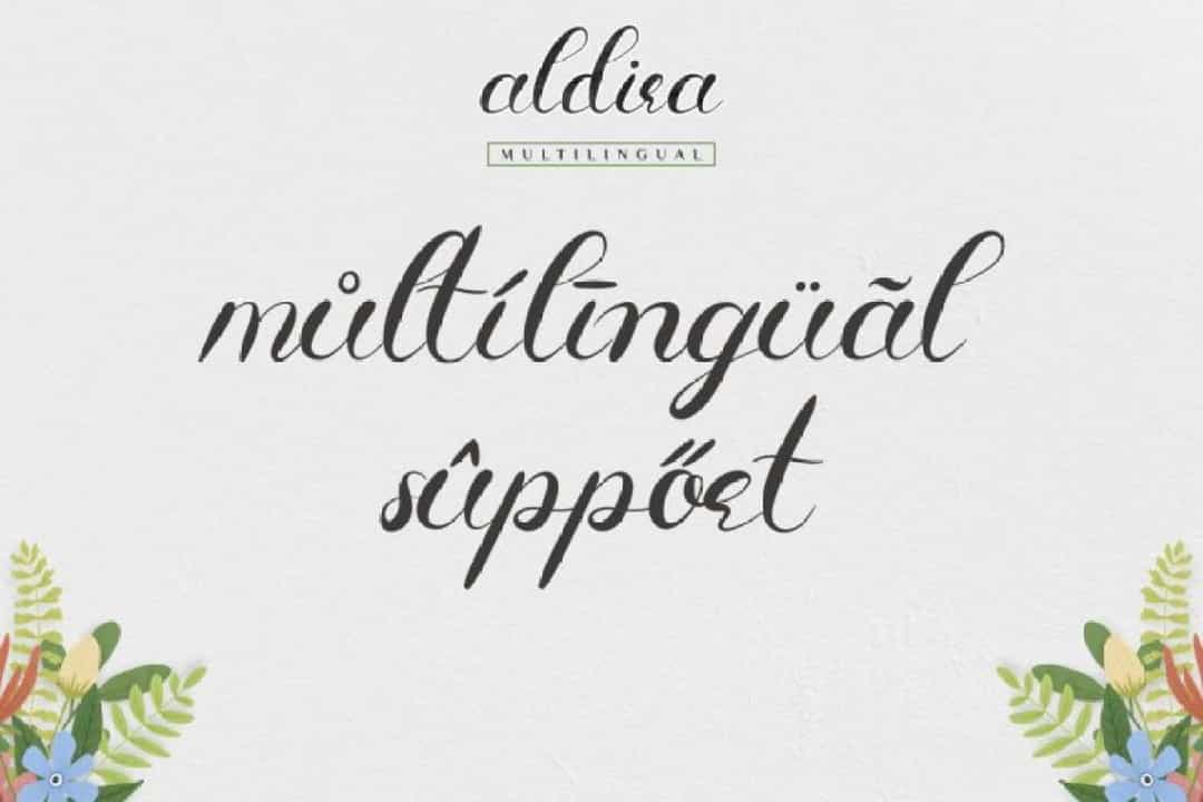 Aldira Calligraphy Script Font Image 2