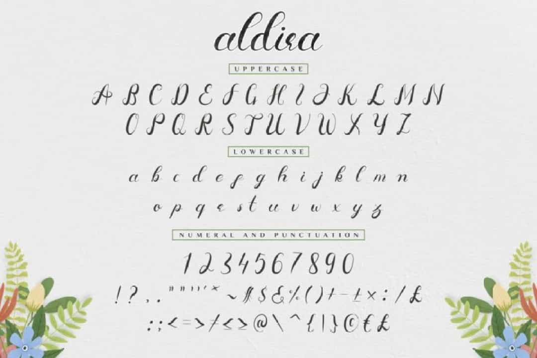 Aldira Calligraphy Script Font Image 3