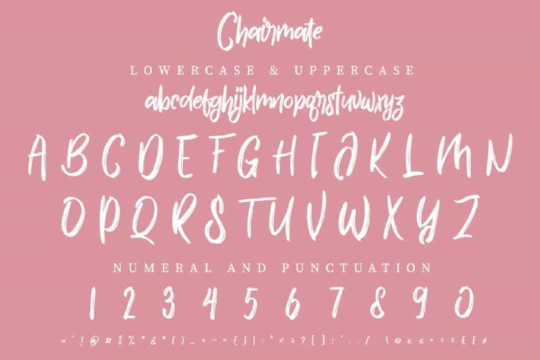 Chairmate Brush Calligraphy Font Image 3