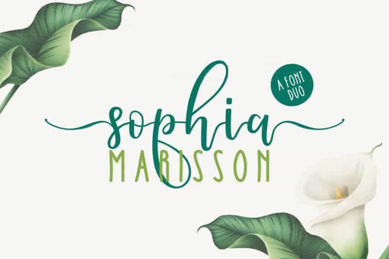 Sophia Marisson Calligraphy Script Font Image 1