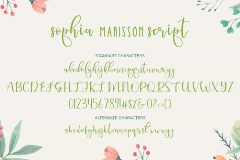 Sophia Marisson Calligraphy Script Font Image 4
