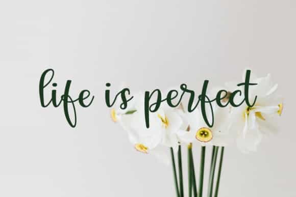 Aintya Beauty Handwritten Font Image 2