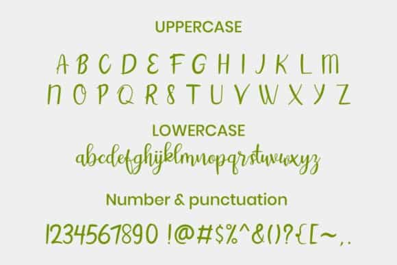 Aintya Beauty Handwritten Font Image 3