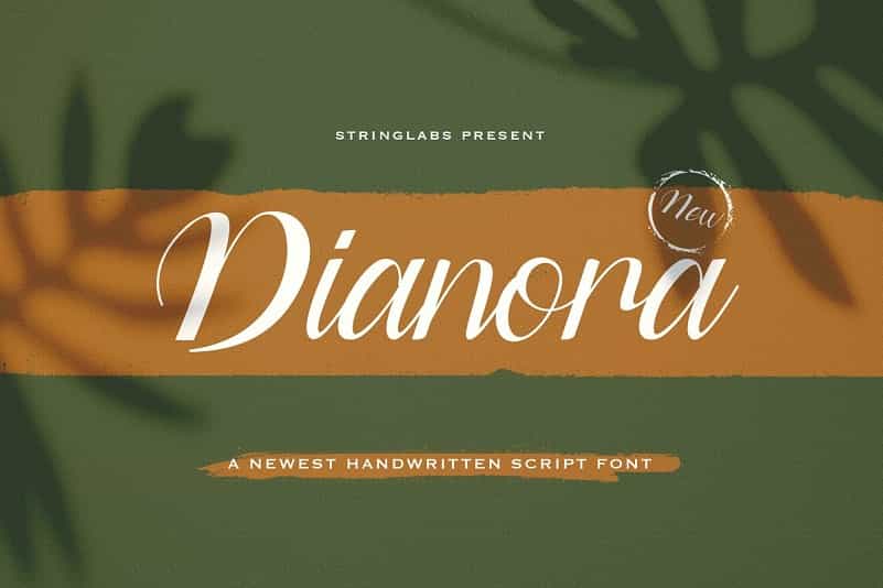 Dianora Handwritten Script Font Image 1