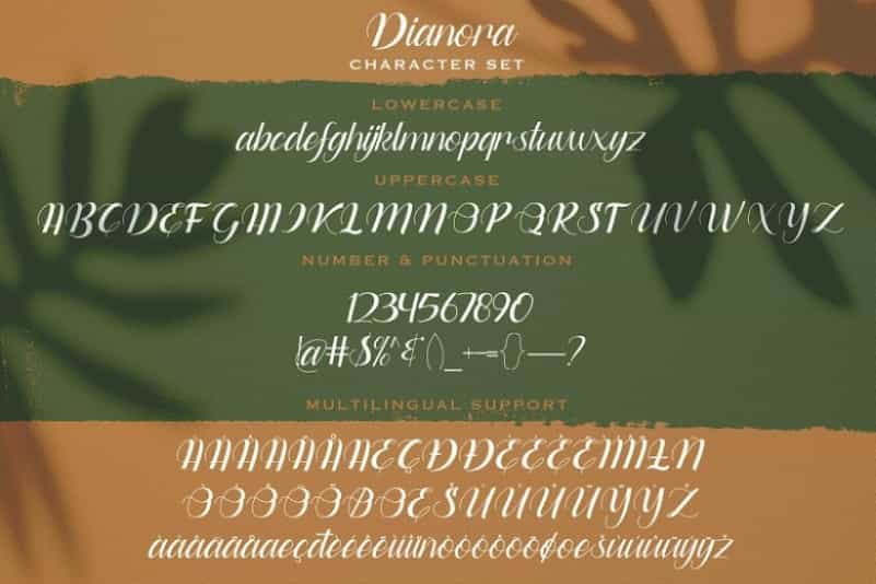 Dianora Handwritten Script Font Image 3