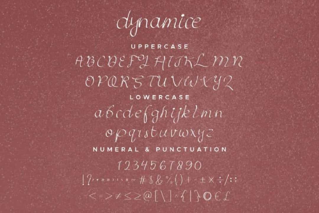 Dynamice Font Duo Image 4