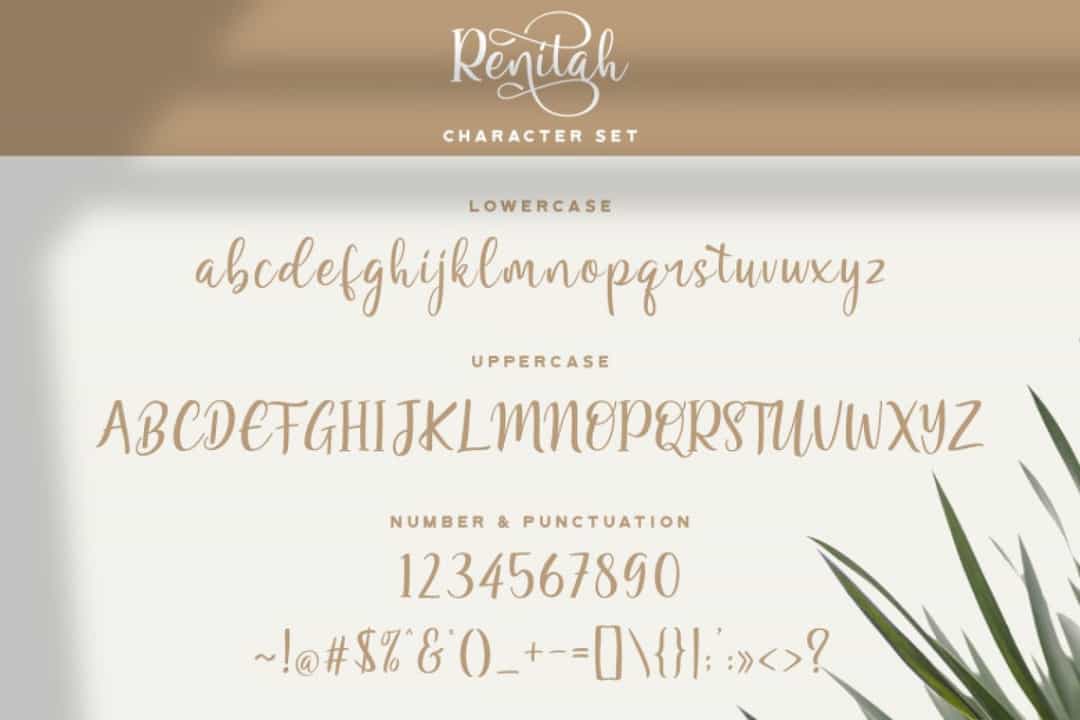 Renitah Lovely Calligraphy Font Image 3