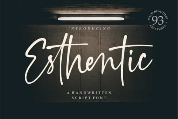 Esthentic Handwritten Script Font Image 1