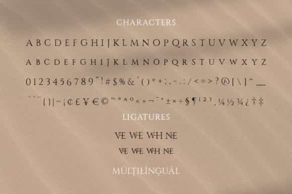 Rosvelit Serif Font Family Image 3