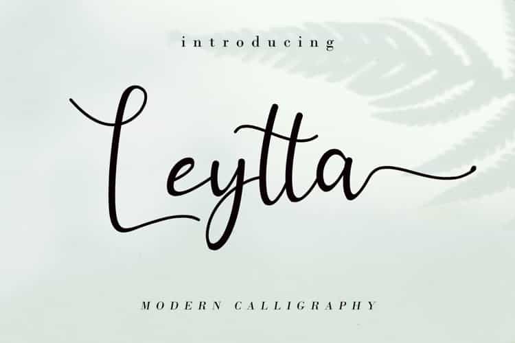 Leytta Modern Calligraphy Font Image 1