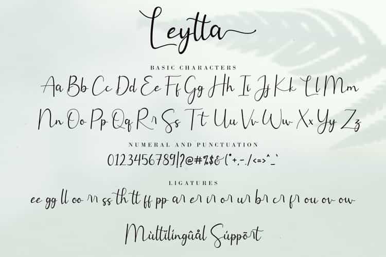Leytta Modern Calligraphy Font Image 3